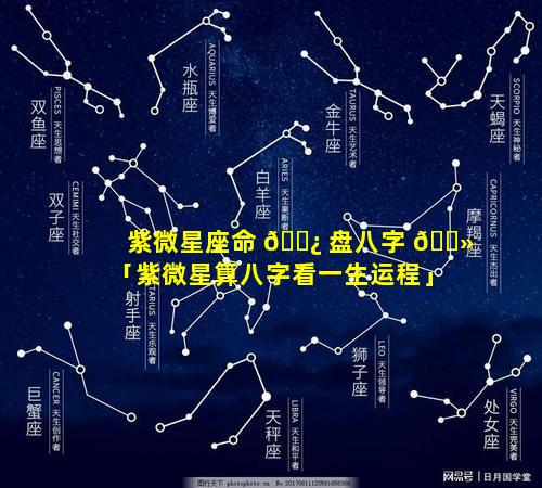 紫微星座命 🌿 盘八字 🌻 「紫微星算八字看一生运程」
